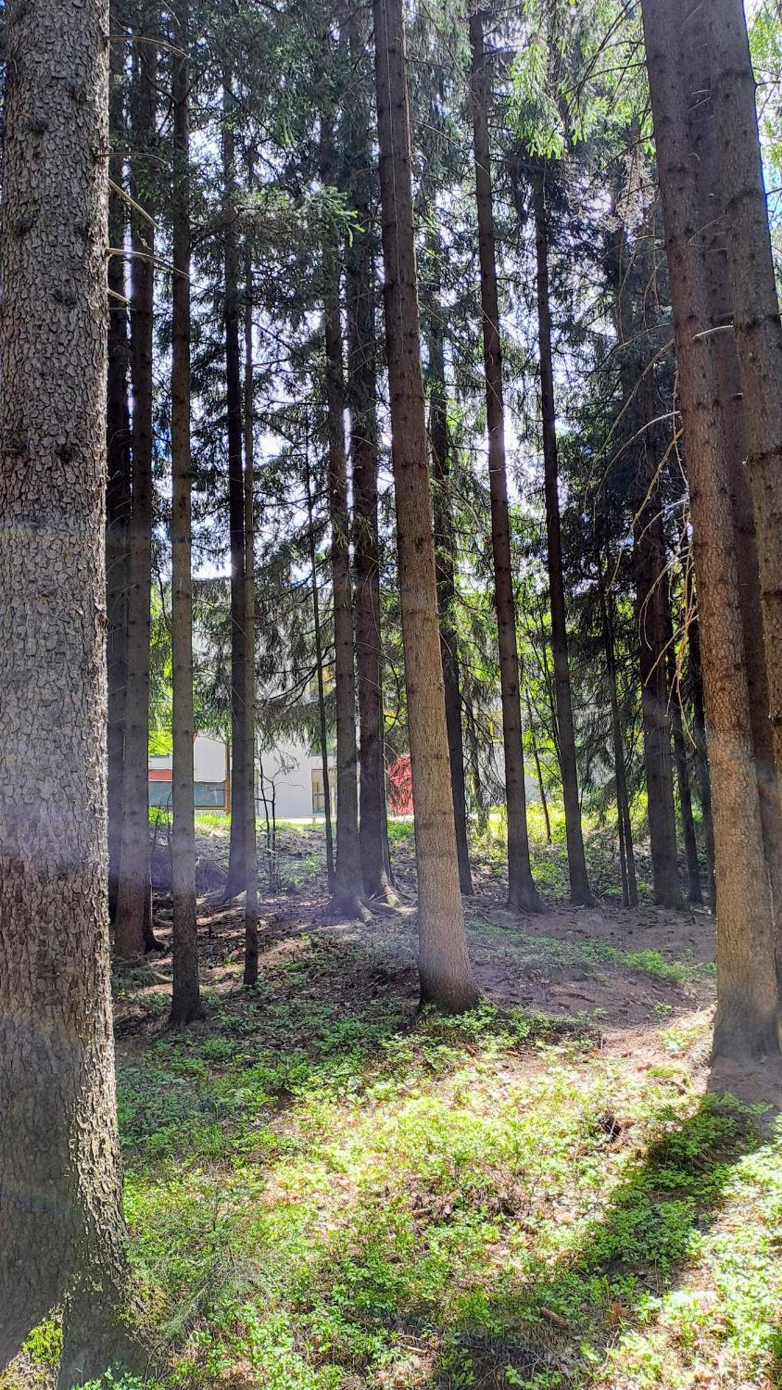 Plne Vybaveny Apartman Pod Mumlavskym Vodopadem, Zahrada S Ohnistem, Idealni Vychozi Bod Pro Turistiku, U Cesty Na Hrebeny, Kousek Do Centra, Absolutni Klid, Vybaveny I Pro Deti, Wellness A Fitko Naproti Harrachov Esterno foto